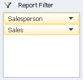 Excel Pivot Table, example of the Report Filter area in the field layout pane